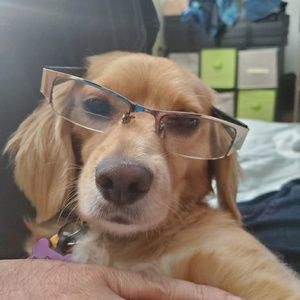 Meet your Posher, Laurie